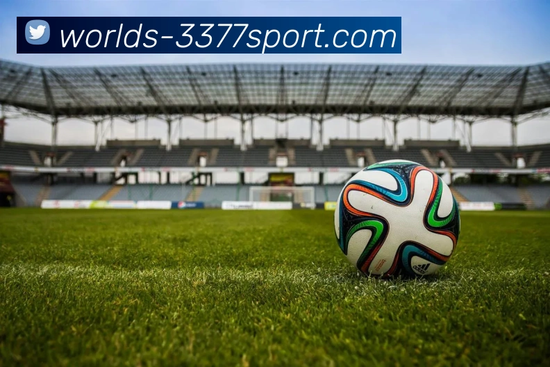 3377体育官网发展历程